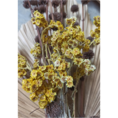 VD60068 Poster Bouquet