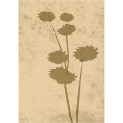 VD60070 Poster Flower Art