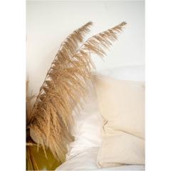 VD60077 Poster Bohemian