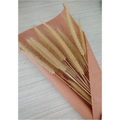 VD60086 Poster Dry Flowers