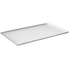 AI16009 Raw Arctic White Plate