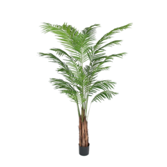 7149210 Konstväxt Areca Palm 210cm