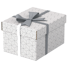 628280 Förvaringslådor Esselte Home