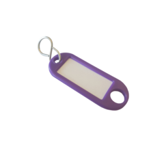 1010011 Nyckelbricka Biolett