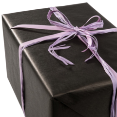 FP4404221 Presentpapper Svart RibbAd