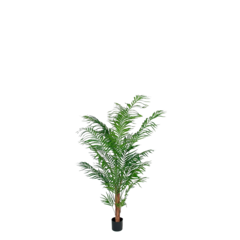 P7149150 Konstväxt Areca Palm 150cm