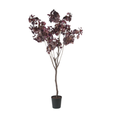 P7162200 Konstväxt Cotinus 200cm