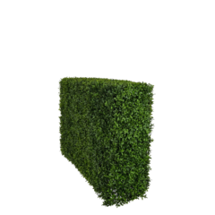 P995502 Konstväxt Buxbom 75cm