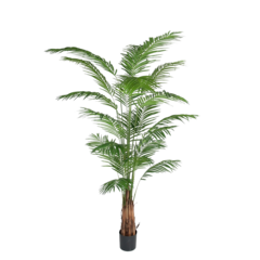 7149240 Konstväxt Areca Palm 240cm
