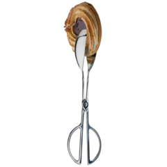 AP686 APS Kaktång rostfri 25,5cm