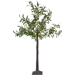 STR86052 Star Trading Olivec Träd