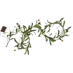 STR86054 Star Trading Olivec Girland