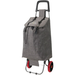 BICRL002G Shoppingväska på hjul Grå 40L