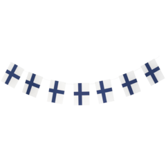 HED202240 Girlang 2m, Finska Flaggan