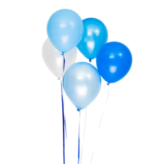 HED202243 Ballong Blåa/Vit 30cm