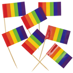 HED202396 DH95 Dekorationsflagga Pride