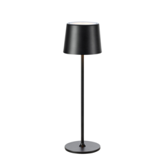 MS110 Bordslampa Fiore USB Matt