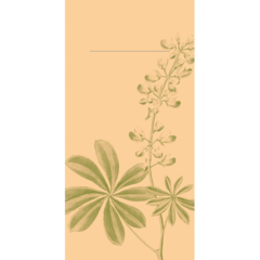 AM102427 Bestickservett Opus Flora Mönstrad 40x40cm