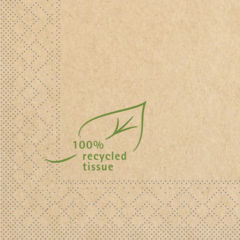AM98784 Servett Mank Recycled 3-lag 24×24cm - “100% recycled tissue”