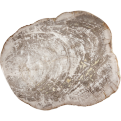 D4902000000 Uppläggningsfat Träd Fortessa