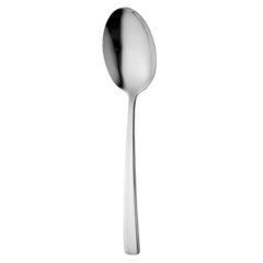 31AMST205 Amstel Serving Spoon 21CM