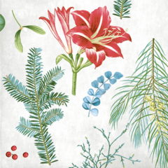 AM94747 Amaryllis Napkin 40x40 cm