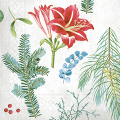 AM94749 Amaryllis 3-Ply Napkin 40x40