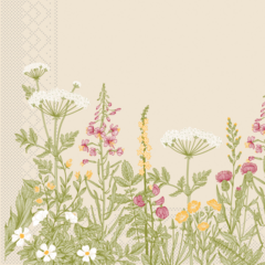 AM99001 Servett Mank Aurelia Beige 3-lags 33x33cm