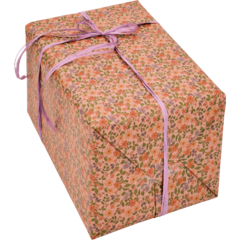 4404303 Presentpapper Agnes Soft Clay