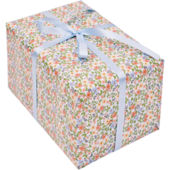 4406349 Presentpapper Agnes