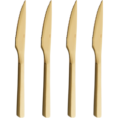 AI123 Stekkniv Raw 4-pack 23 cm