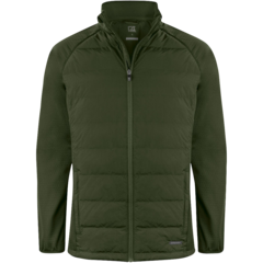 NW351452 Hybridjacka Herr Oak Harbour*