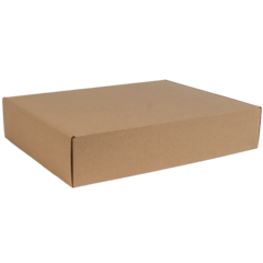 208515 Verkkokauppalaatikko L 32x42x9