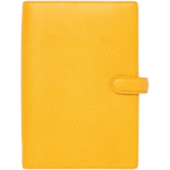 FX9022620 Finsbury Personal Gold