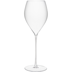 AN413108 Champagneglas Anima Aura 29cl