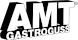 AMT_logo.png